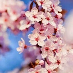 Meet your Posher, Kassie